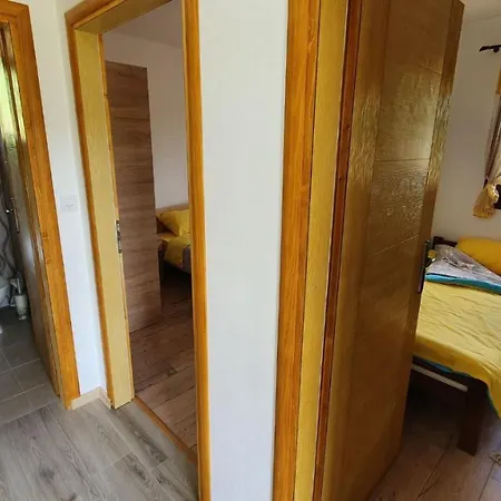 Turizam Koturovic 住宿加早餐酒店 *