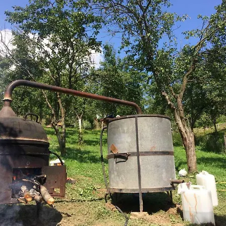 Nocleg ze śniadaniem Turizam Koturovic Ivanjica