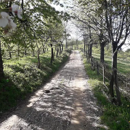 住宿加早餐酒店 Turizam Koturovic